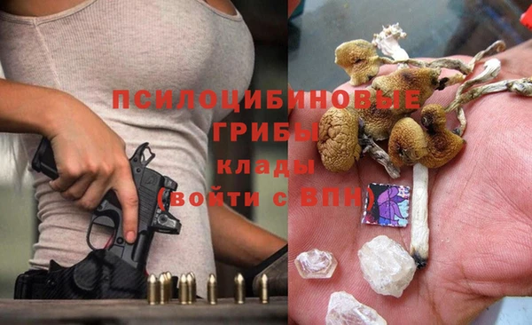 мет Абаза