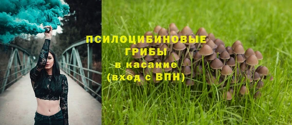 первитин Абинск