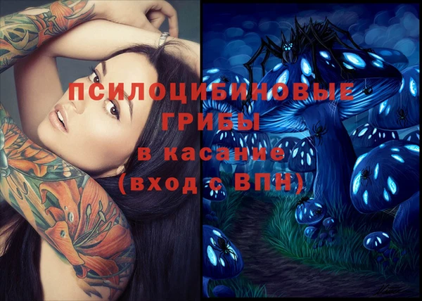 первитин Абинск