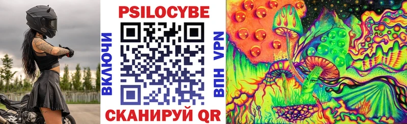 где найти наркотики  Ладушкин  Псилоцибиновые грибы Magic Shrooms 